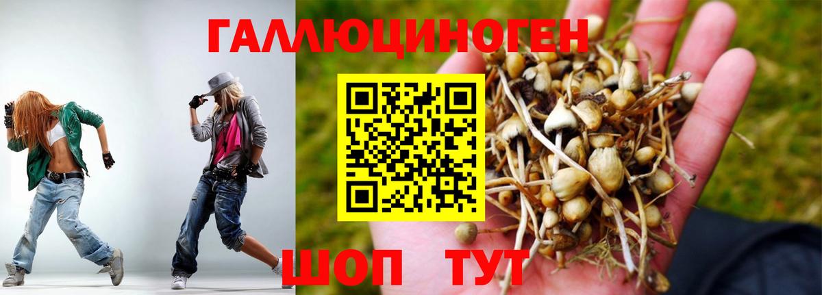 Псилоцибиновые грибы MAGIC MUSHROOMS Тайшет